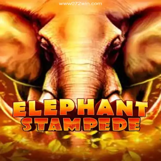 Exploring ElephantStampede: The Thrilling Adventure of the Digital Jungle