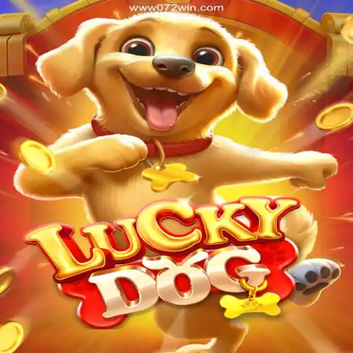 Explore LuckyDog: The Thrilling Casino Experience by 072win.com Oficial